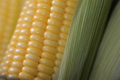 Did You Know That Sweetcorn Is Technically A Grain And Not A Vegetable