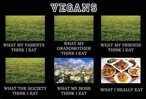 Vegan Problems - What People Think I Eat