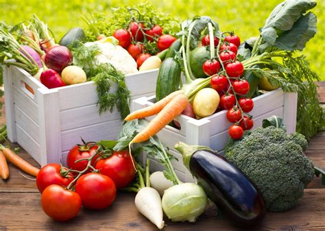 The Ultimate Vegetable Garden Plan How To Grow Your Own Groceries