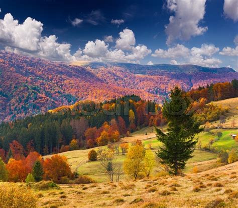 Colorful Autumn Landscape In The Mountains Stock Photo