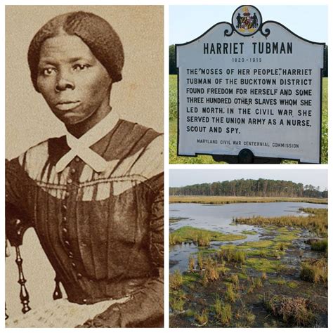 Harriet Tubman Photo Collage