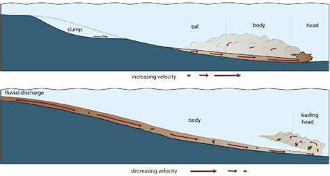 Comparison Between The Flow Behavior Of I Turbidites Above And