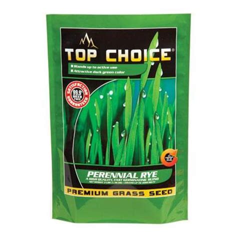 Top Choice Perennial Rye Premium Grass Seed