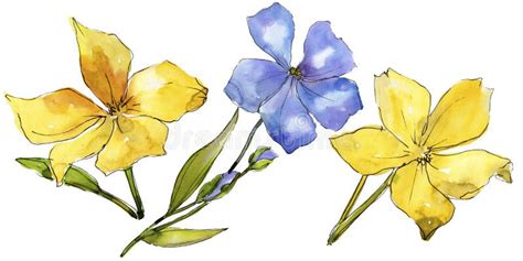 Watercolor Blue And Yellow Flax Flowers Floral Botanical Flower