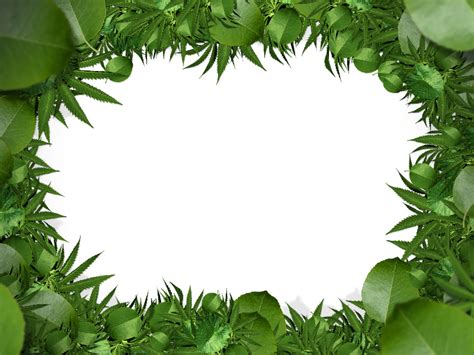 Flower Frame Border Png With Green Leaves Background Nature Grass And