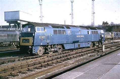 Class 52 Western Diesel Hydraulic Locomotive No D1037 Western Empress In Chromatic Blue