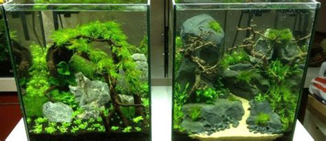 aquascapejuara: 20 Desain Kreatif Nano Aquascape Yang ...