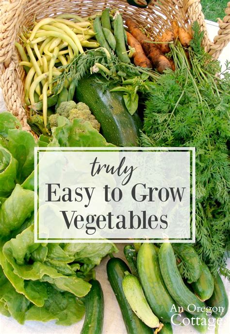 11 Truly Easy Grow Vegetables 4 That Really Arent