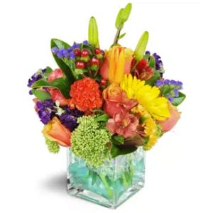 Wide range of flowers & gifts for all occasions. Flower Delivery Melbourne Fl