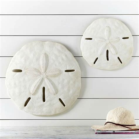 Large Starfish And Sand Dollar For Wall Decor