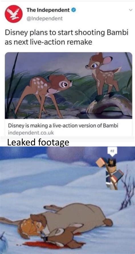 Bambi Live Action Footage Rmemes