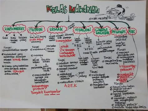 Dalam proses tersebut melibatkan berbagai sistem atau alat pencernaan yang ada di dalam tubuh manusia. Formula Hikmat Enzim Dalam Sistem Pencernaan Manusia.