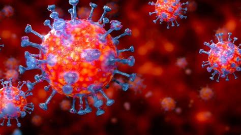 Coronavirus Isle Of Man S Active Cases Down To One BBC News