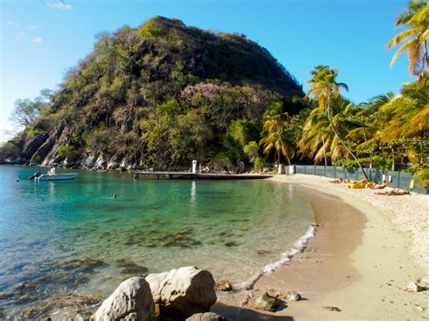 La banane française cultivée en guadeloupe & martinique fait partie de la gamme prémium. Location de voiture en Guadeloupe, où louer son véhicule
