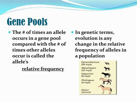 Ppt Genetic Variation Powerpoint Presentation Free Download Id2263050