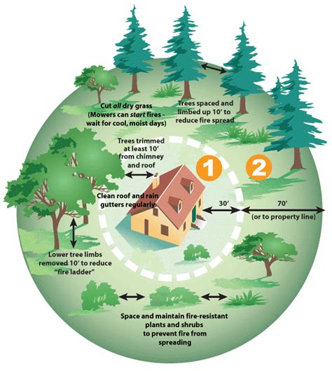 Defensible Space Welcome To Idyllwild Fire Protection District