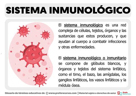 ¿qué Es El Sistema Inmunológico