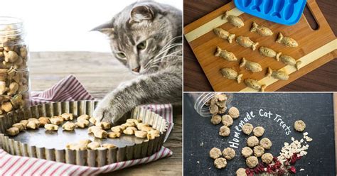 43 Diy Homemade Cat Treat Recipes Delicious And Healthy ⋆ Bright Stuffs