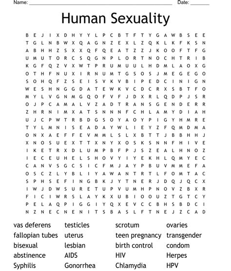 human sexuality word search wordmint