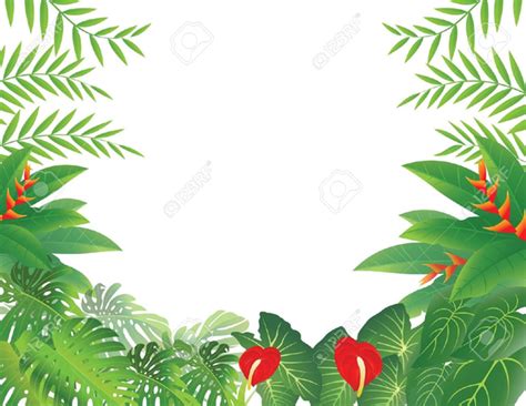Rainforest Clipart Border Free Images At