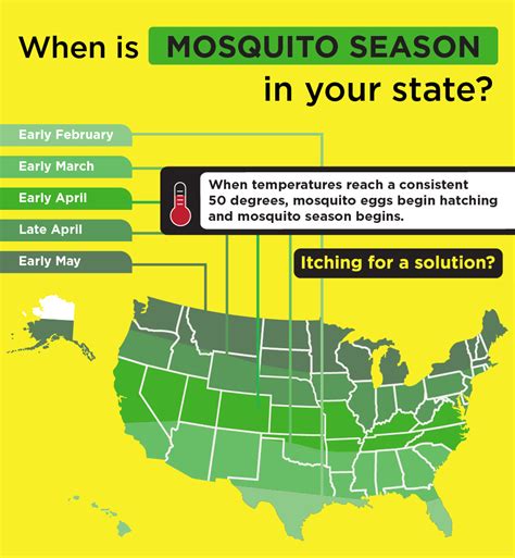 Facts About Mosquitoes And How To Combat Them Learning Center