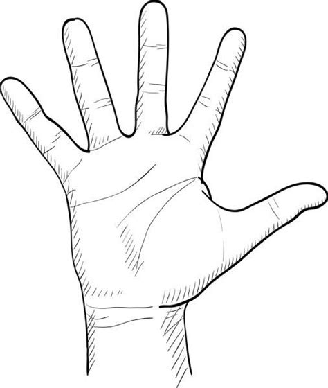 Hand Drawn Mens Palm How To Draw Hands Hand Drawing Reference