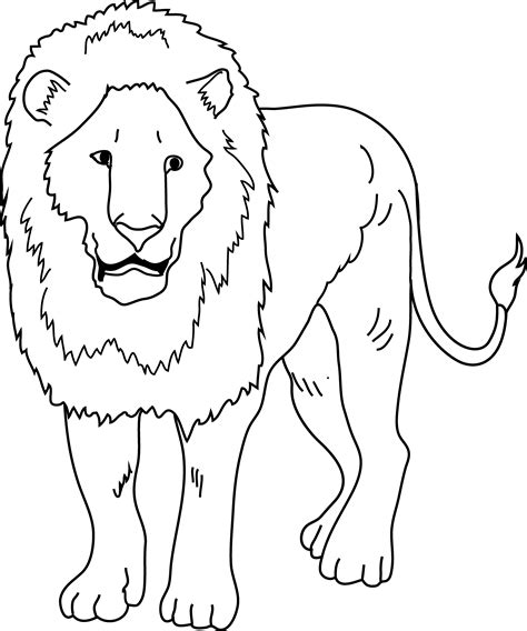 Lion Black And White Drawing At Explore Collection