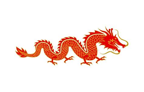 Traditional Chinese Dragon Symbol Stock Vector Illustration Of
