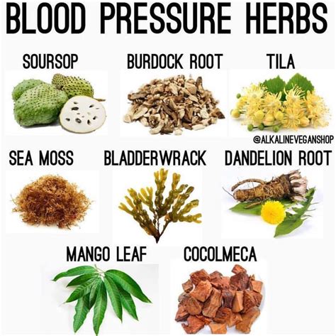 Blood Pressure Herbs Follow For More Health Tips Natural