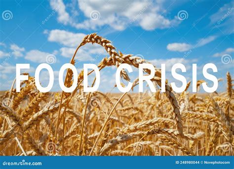 The Problem Of Food Shortage In The World Food Crisis And Crop Failure