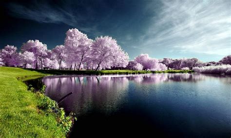 T Of Nature T Of Nature Beautiful Nature Wallpaper