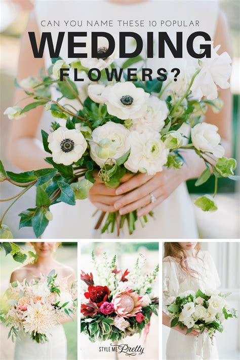 Can You Name These 10 Popular Wedding Flowers Wedding Flowers