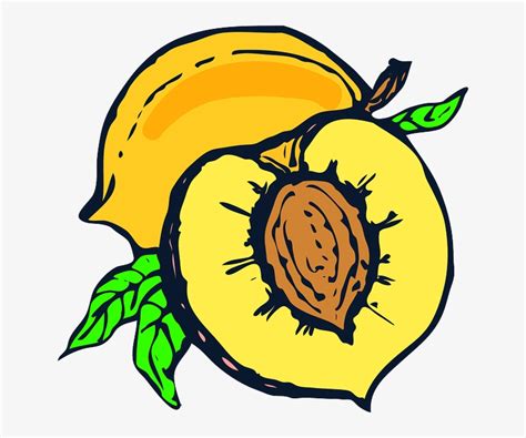 User trytryhard uploaded this cartoon peach png png image on october 23, 2018, 5:08 pm. Food, Fruit, Yellow, Cartoon, Free, Peach, Plant - Clip ...