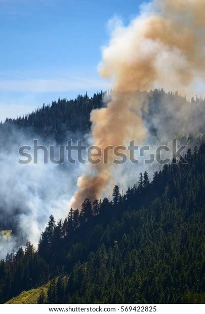 Small Forest Fire At Hurricane Ridge Olympic National Park