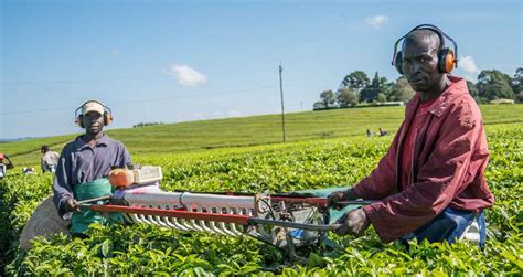 Africas Digital Agriculture Facilitating Inclusion For Smallholder