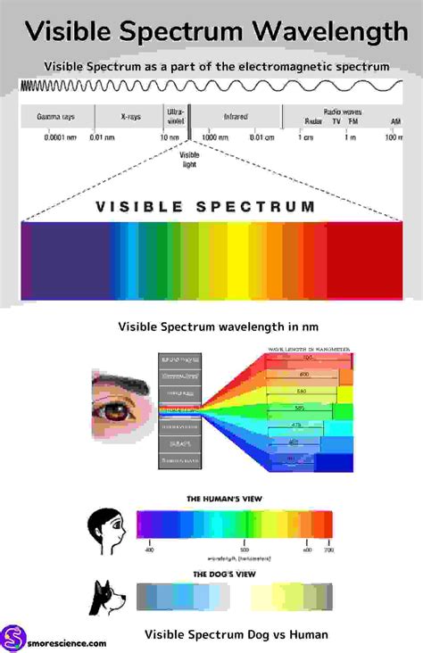 Visible Light Spectrum Wavelengths Poster Free Download Smore Science
