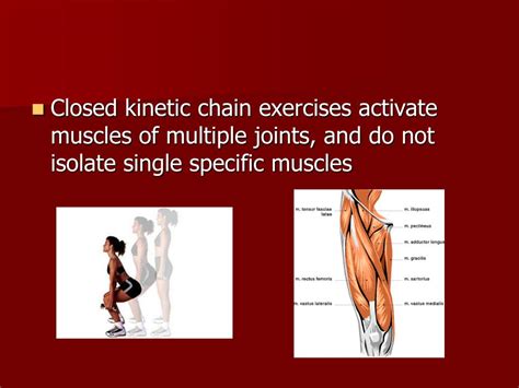 PPT Closed Chain Exercise And Knee Pathologies PowerPoint Presentation ID