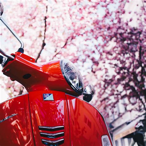 Download Wallpaper 3415x3415 Vespa Scooter Red Sakura Ipad Pro 129