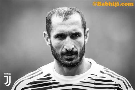 New collection of pictures, images and wallpapers with giorgio chiellini, in. Chiellini Wallpapers - Wallpaper Cave