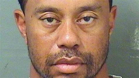 Tiger Woods Arrested On Dui Charges In Florida My XXX Hot Girl