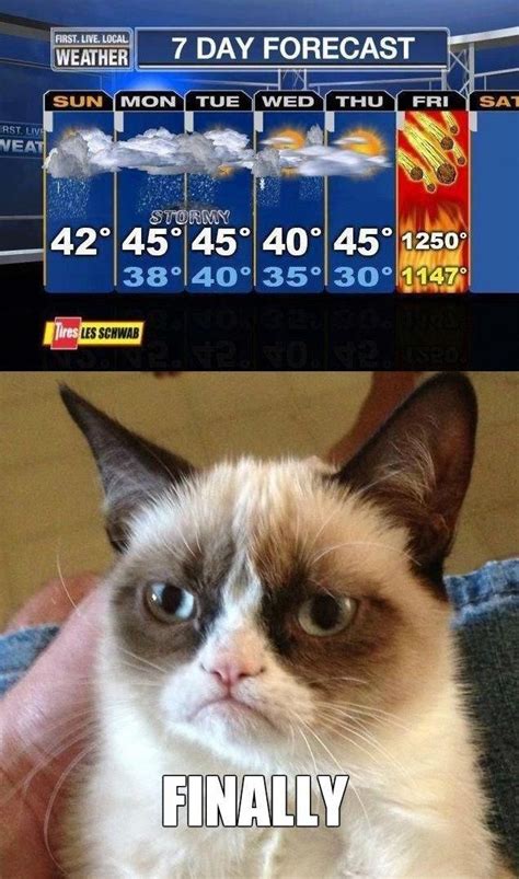 Imgur The Simple Image Sharer Cathumor Funny Grumpy Cat Memes