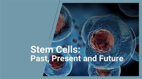 Stem Cells Past Present And Future Danai Medi Wellness