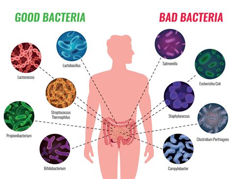 Dont Get Sickfix It With Your Gut Fast Relief Acupuncture