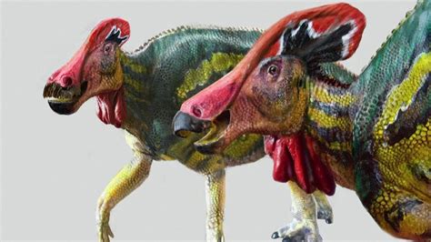 Paleontologists Identify New Species Of Dinosaur Youtube