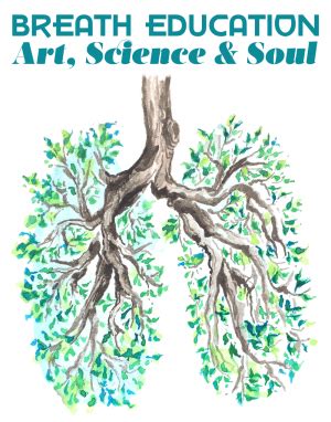The inner respiratory epithelium arises from the endoderm, and the cartilage, bronchial muscles. Health | Yoga Anatomy | Page 2
