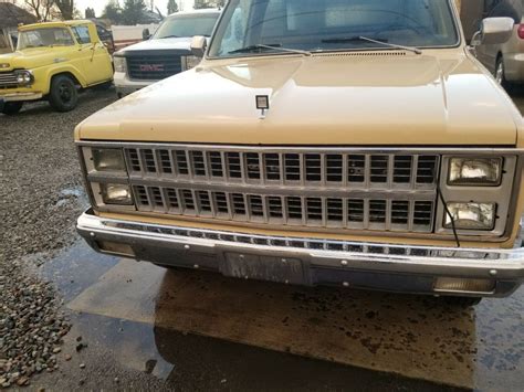 1982 Chevrolet C20 Pickup Brown Rwd Automatic Camper Special For Sale