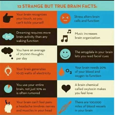 12 Strange But True Brain Facts Tips Pinterest Alzheimers Facts