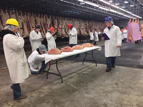 Meat Science Program Meat Lab