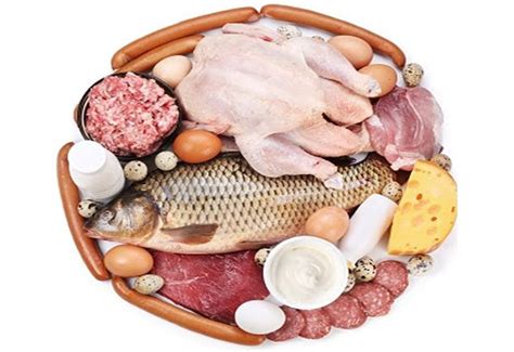 Hal ini karena anda untuk mencegah penambahan lemak berlebih, anda bisa mencoba mengisi protein tanpa lemak dan. Bahayanya Jika Kamu Konsumsi Protein Hewani Berlebihan ...