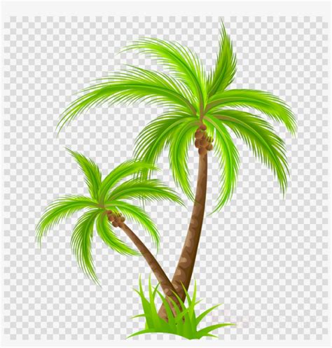 Download Palm Tree Png Clipart Palm Trees Clip Art Kerala Meals Clipart Free Transparent PNG